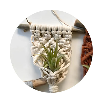 Hand-woven cotton macrame plant hanger with 15cm wooden basket displaying air plant