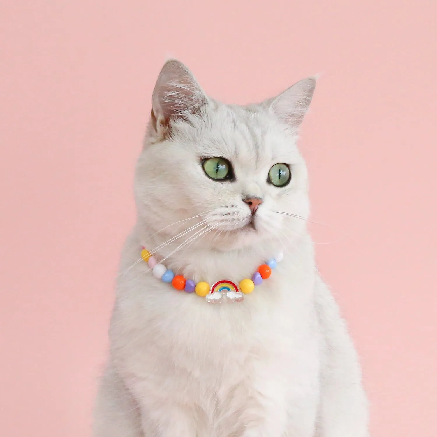 Colourful plastic bead cat necklace with adjustable clasp showing peach, rainbow, and small flower pattern options
