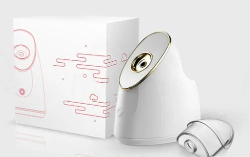 Nano ionic facial steamer hydrating sprayer with 100ml tank, dustproof small body, EU US plug option