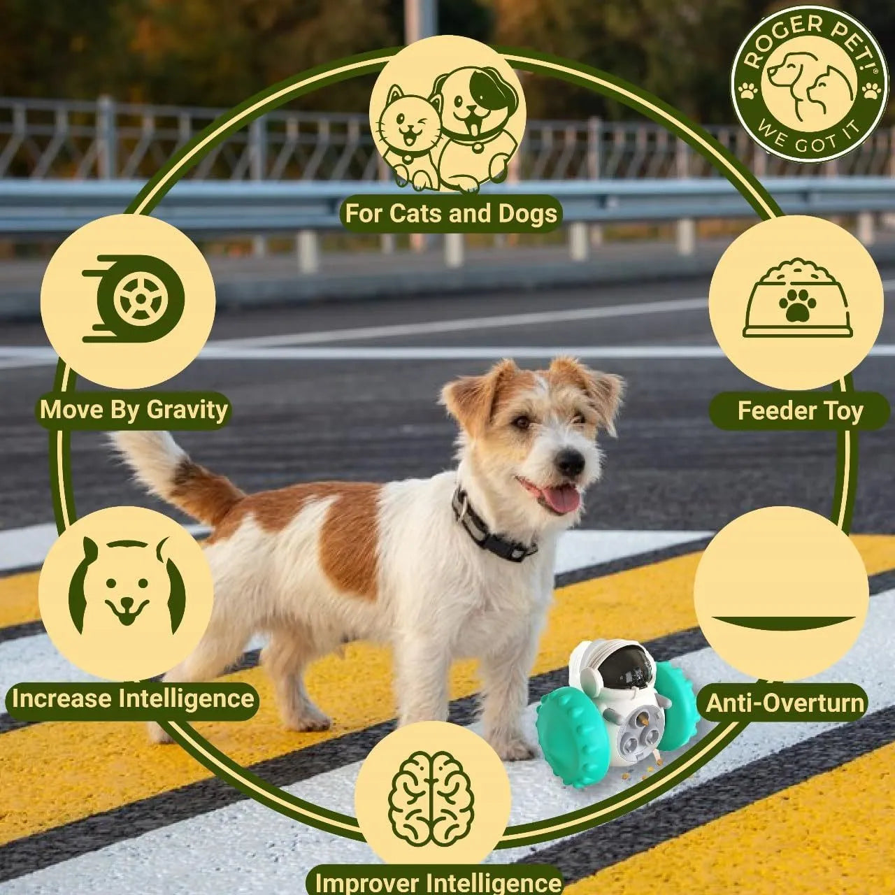 Design Pet Dog tumbler puzzle toy in lake blue colour, showing robot-like appearance and self-balancing design for slow feeding.