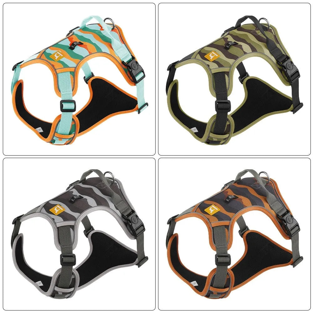 Orange dog harness with reflective strips and hand holding rope on a grassy background