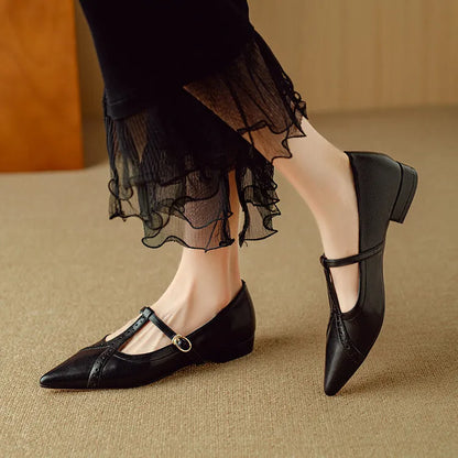 Brown pointed toe low-cut flat shoes for women with a soft sole and mid heel.