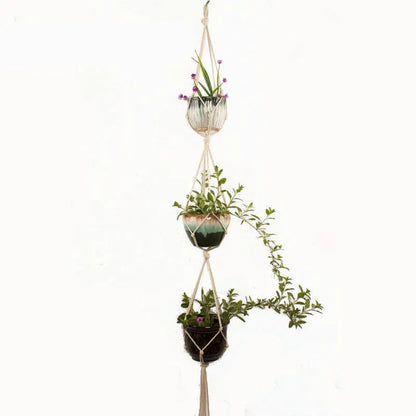 Woven wire lattice plant holder with natural cotton rope, shown in a rustic style supporting a green plant.