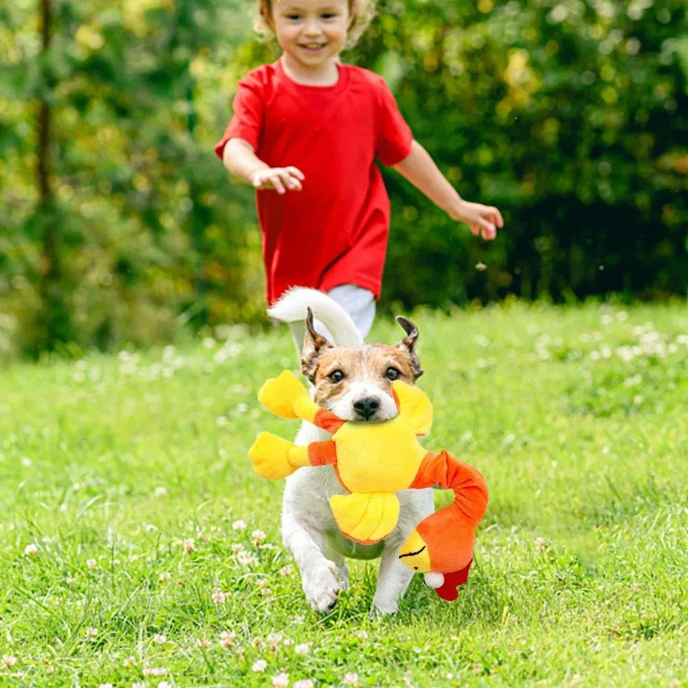 Screaming chicken sound dog chew toy in durable rubber, approximately 15cm long