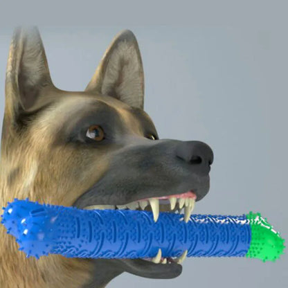 Blue Green Pet Molar Tooth Cleaner for dogs with serrated brush head and nodules, 25cm long