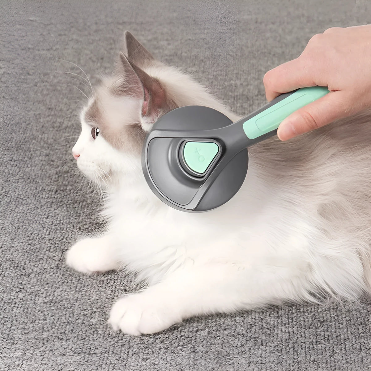 One button dog hair removal comb with stainless steel pins, 19.3cm long, in mint green or gentleman grey