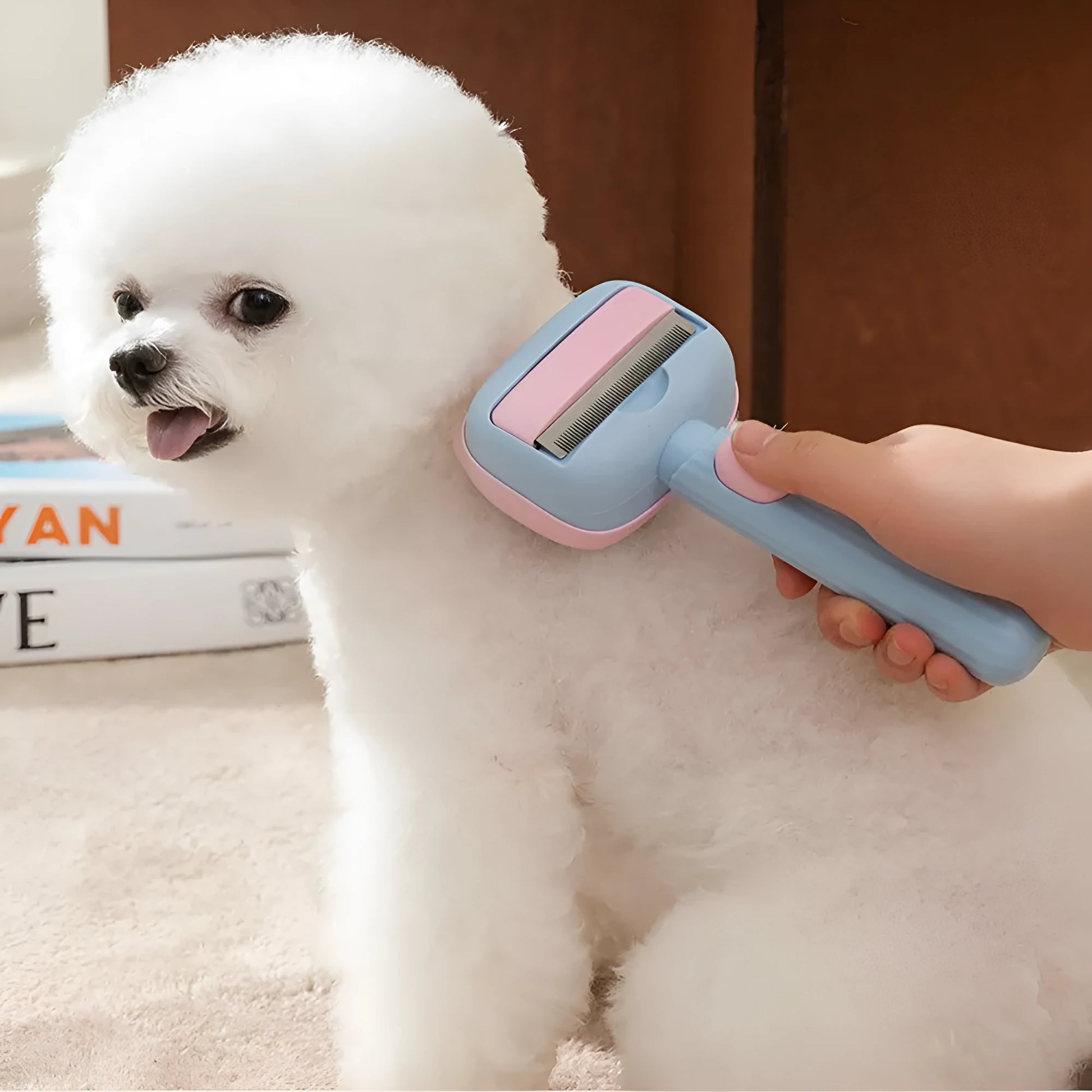 Blue pet grooming brush with deshedding teeth and dematting comb for dogs and cats
