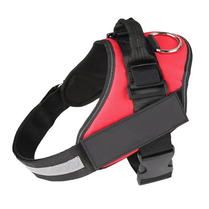 A reflective adjustable no-pull dog harness in nylon, shown on a dog, with a sturdy handle and D-ring for leash attachment.