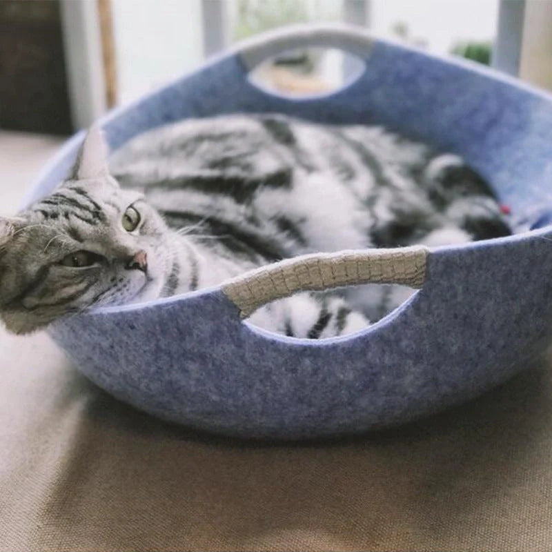 Pet Perch Cat Scratcher Bed House in various colors with zipper design and throw pillow