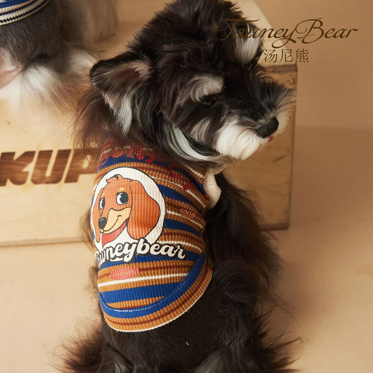 Tony Bear dog striped polo shirt in cotton, blue or brown, sizes XS to XXL, casual pet clothing