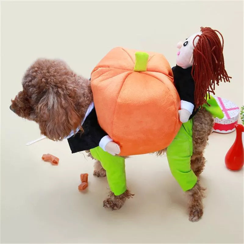 Orange pumpkin Halloween costume for dogs with adjustable Velcro, sizes S to XXL
