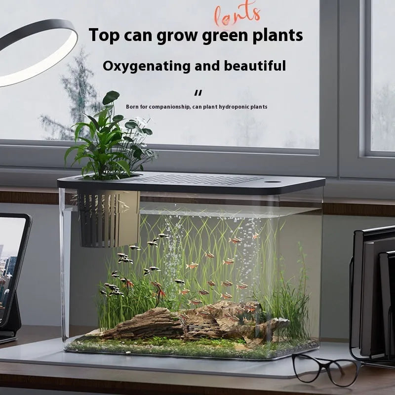 Black ecological betta tank with cover measuring 32cm length, 18.5cm width, and 23cm height