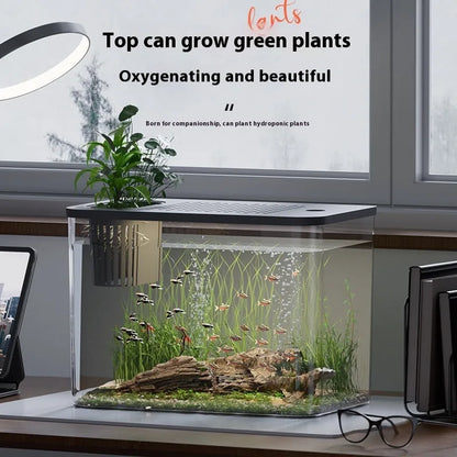 Black ecological betta tank with cover measuring 32cm length, 18.5cm width, and 23cm height