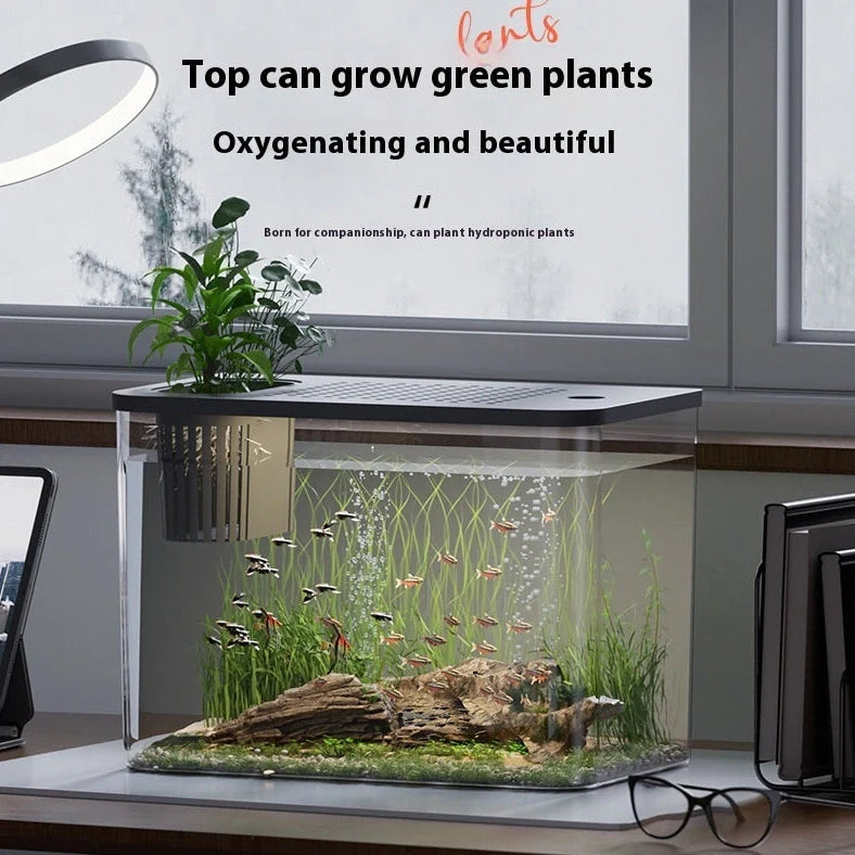 Black ecological betta tank with cover measuring 32cm wide by 18.5cm deep on living room shelf