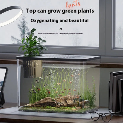 Black ecological betta tank with cover measuring 32cm wide by 18.5cm deep on living room shelf