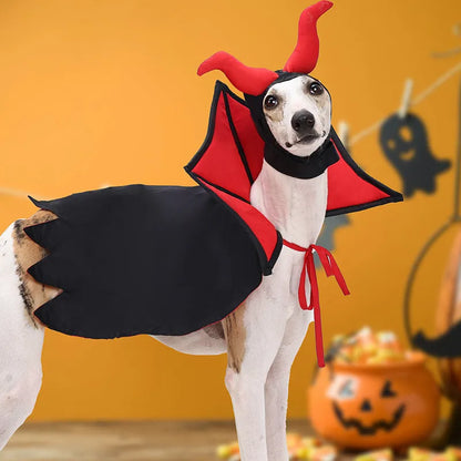 Black polyester vampire cloak and hat costume for a pet dog or cat on Halloween.