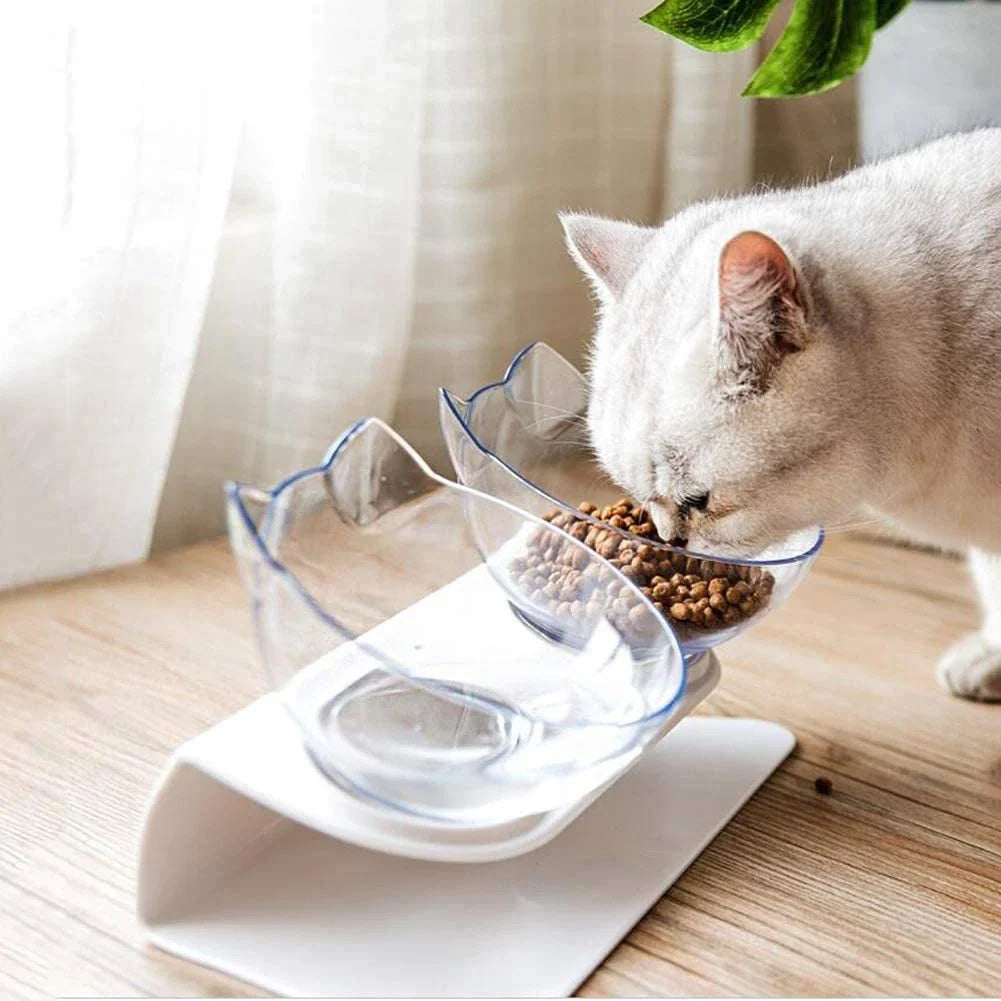 Elevated tilted double pet bowl with transparent design and adjustable stand
