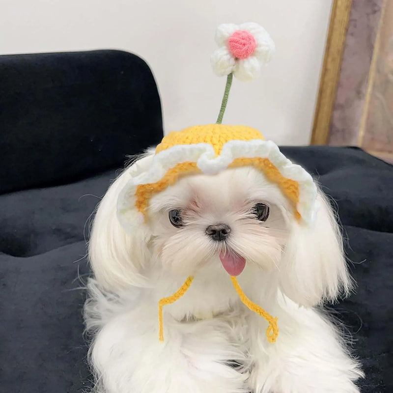 Cute knitted cat hat and funny dog hat for cats and small dogs kitten puppy pet costume Halloween Christmas birthday party costume headwear accessories in S and M sizes made from soft knitted fabric available in green pink and yellow colours