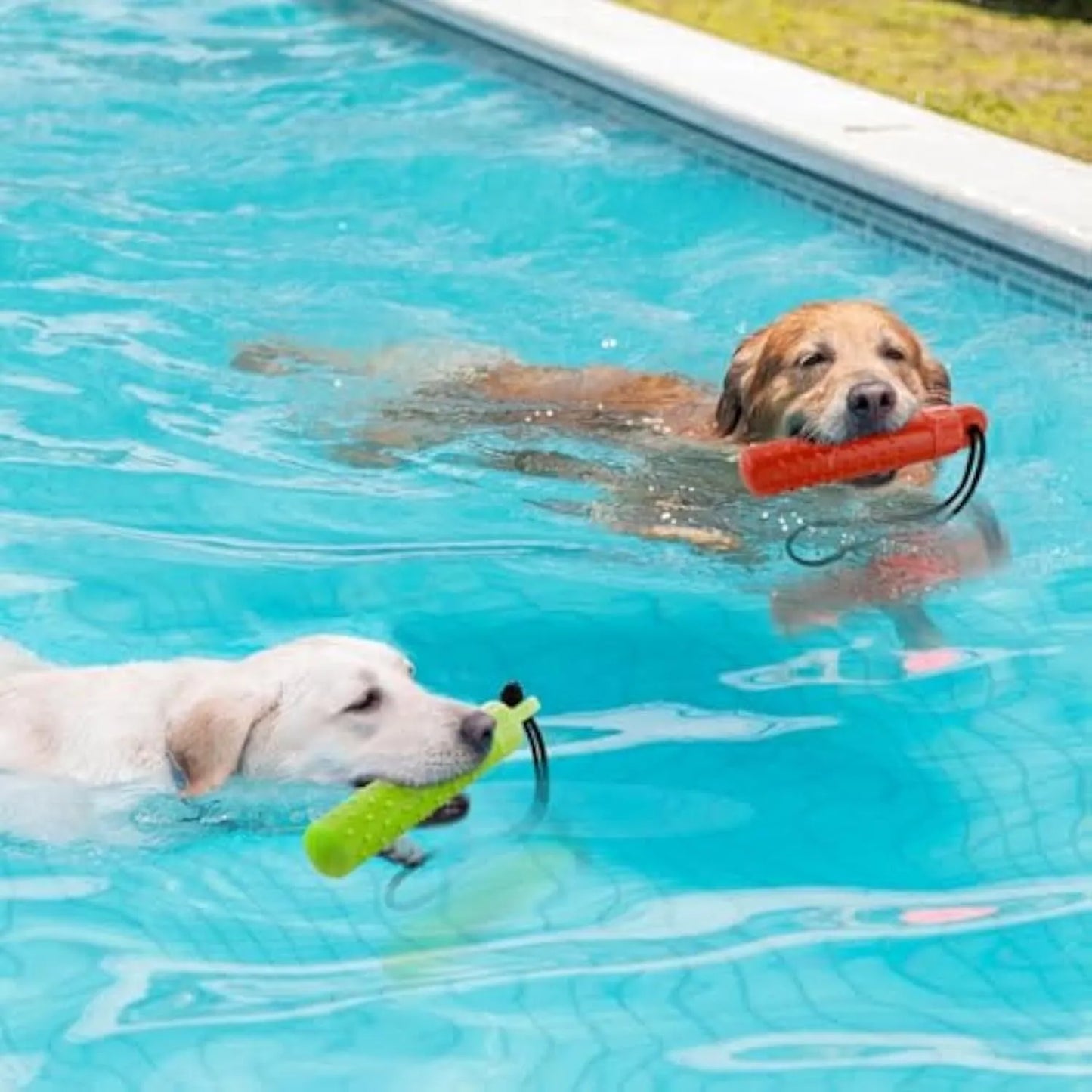 Two bright red and green floating TPR dog toys with ropes for water fetch and food hiding.
