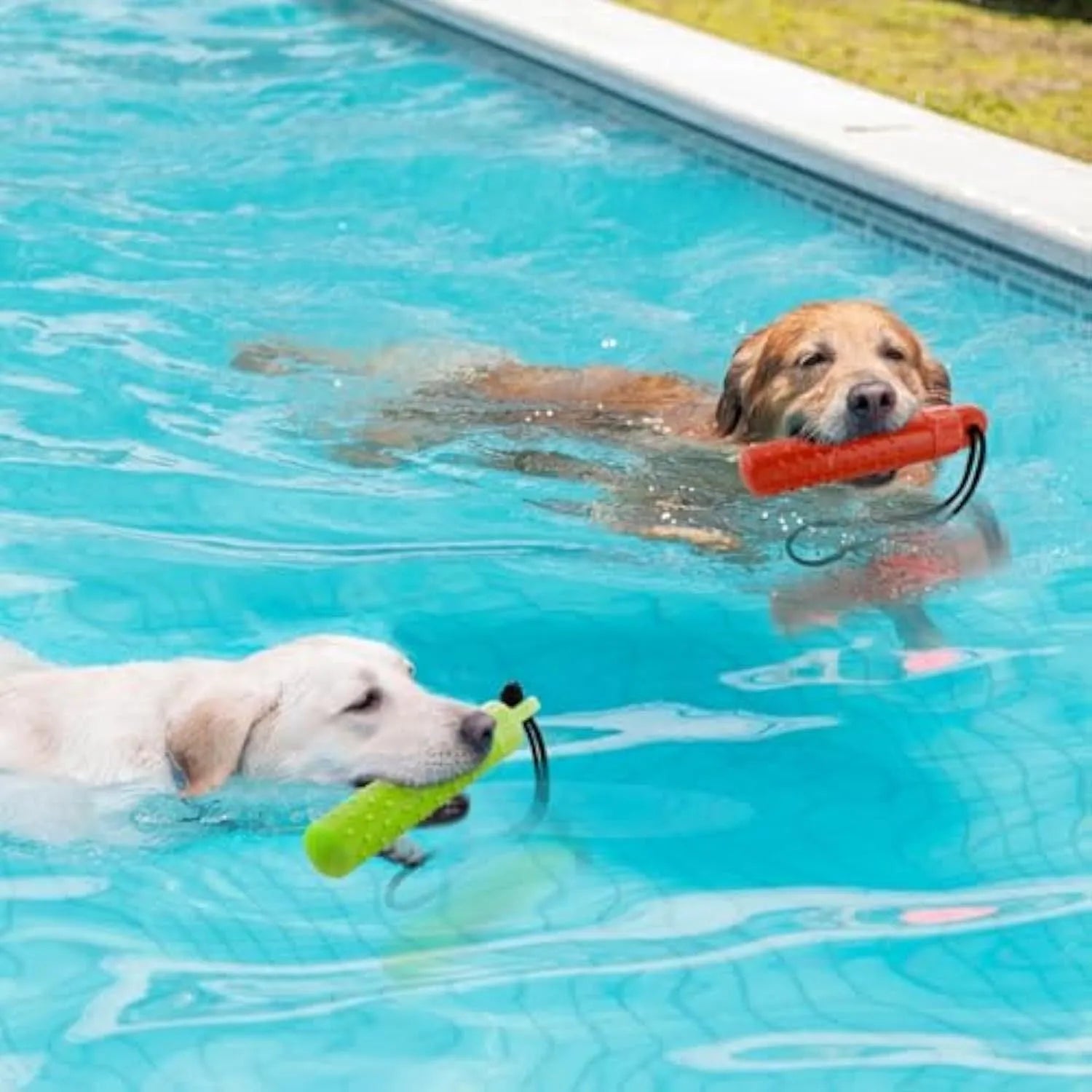 Two bright red and green floating TPR dog toys with ropes for water fetch and food hiding.