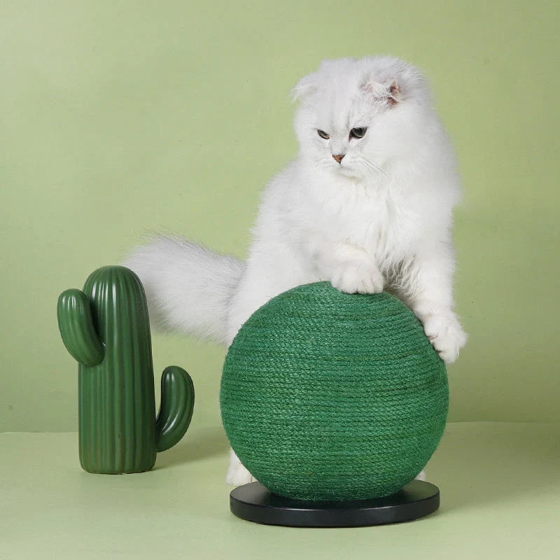 Cactus-shaped cat scratching ball with sisal rope for healthy nails and stress relief
