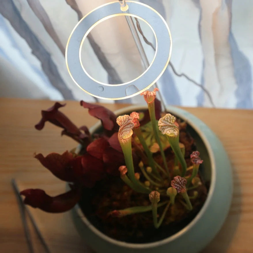 Full spectrum LED grow light for indoor plants with acrylic stick