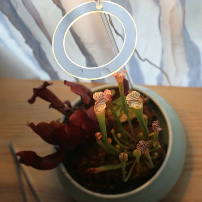 Full spectrum LED grow light for indoor plants with acrylic stick