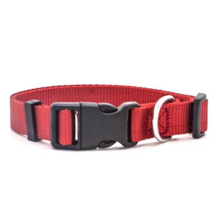 Adjustable nylon pet collar for cats and dogs with neoprene lining, available in multiple colors and sizes