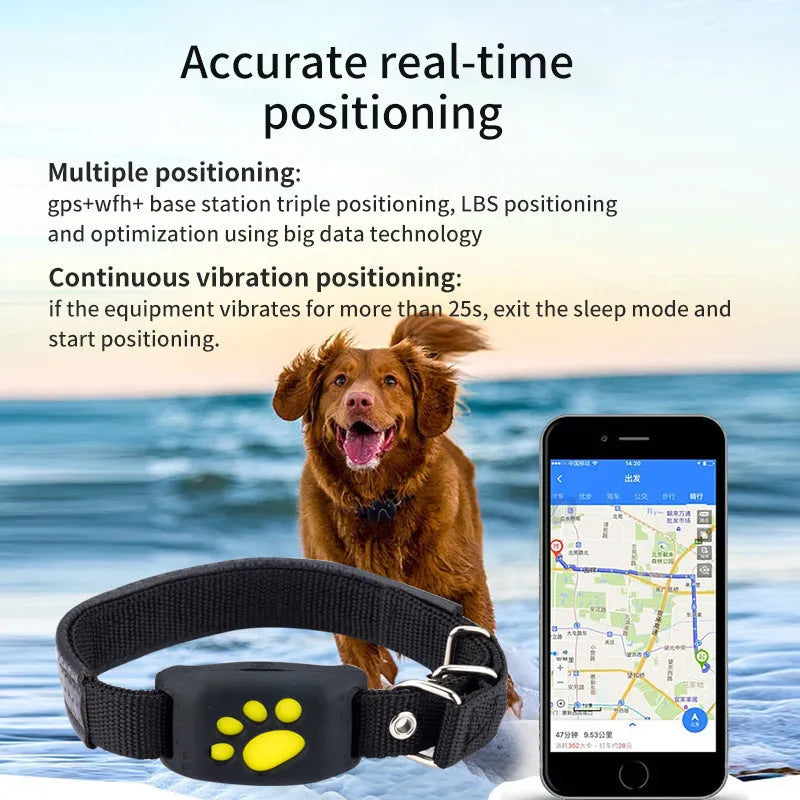 Waterproof GPS pet tracker in black, sky blue, pink, and grass colour options showing compact 65.5mm design