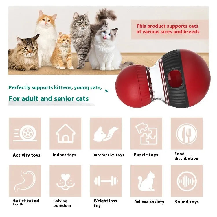 Colourful rotating plastic cat toy ball with treat dispenser and sound, shown next to a cat.
