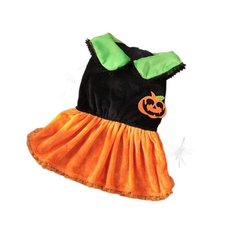 Halloween pet costume: orange pumpkin skirt and black Halloween sweater for small dogs and cats on a mannequin.