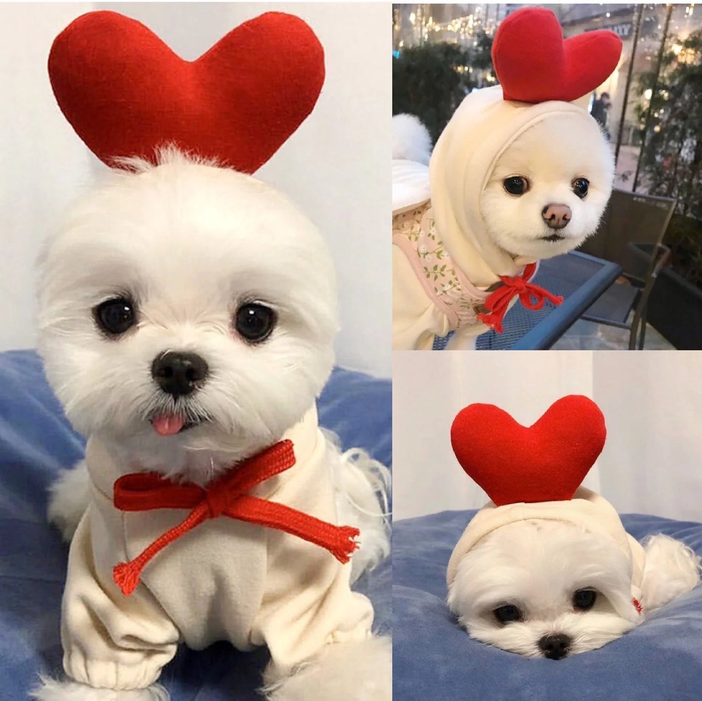 Two-legged hooded fleece dog outfits in various colors for autumn and winter wear