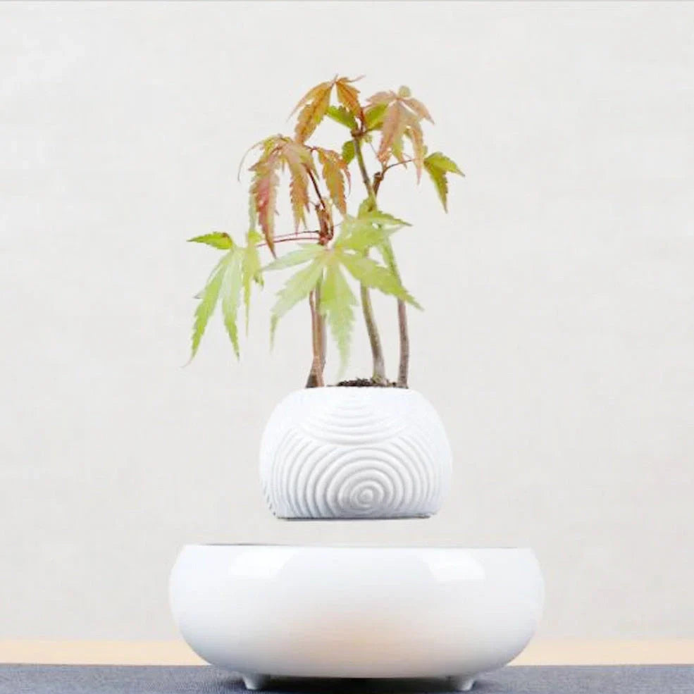 Magnetic levitation potted plant ornament floating bonsai at 15 mm in white stripes, plastic base with 12V power