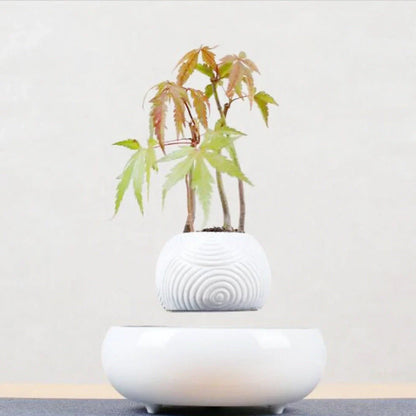 Magnetic levitation potted plant ornament floating bonsai at 15 mm in white stripes, plastic base with 12V power