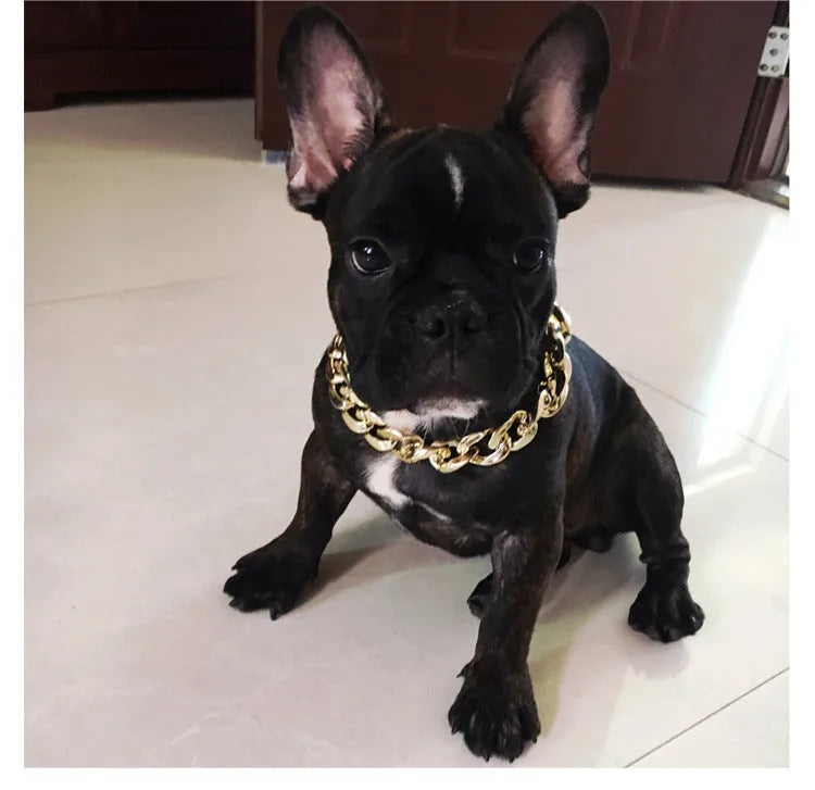 Gold colour chain style dog collar adjustable from 21cm to 50cm circumference for small medium dogs