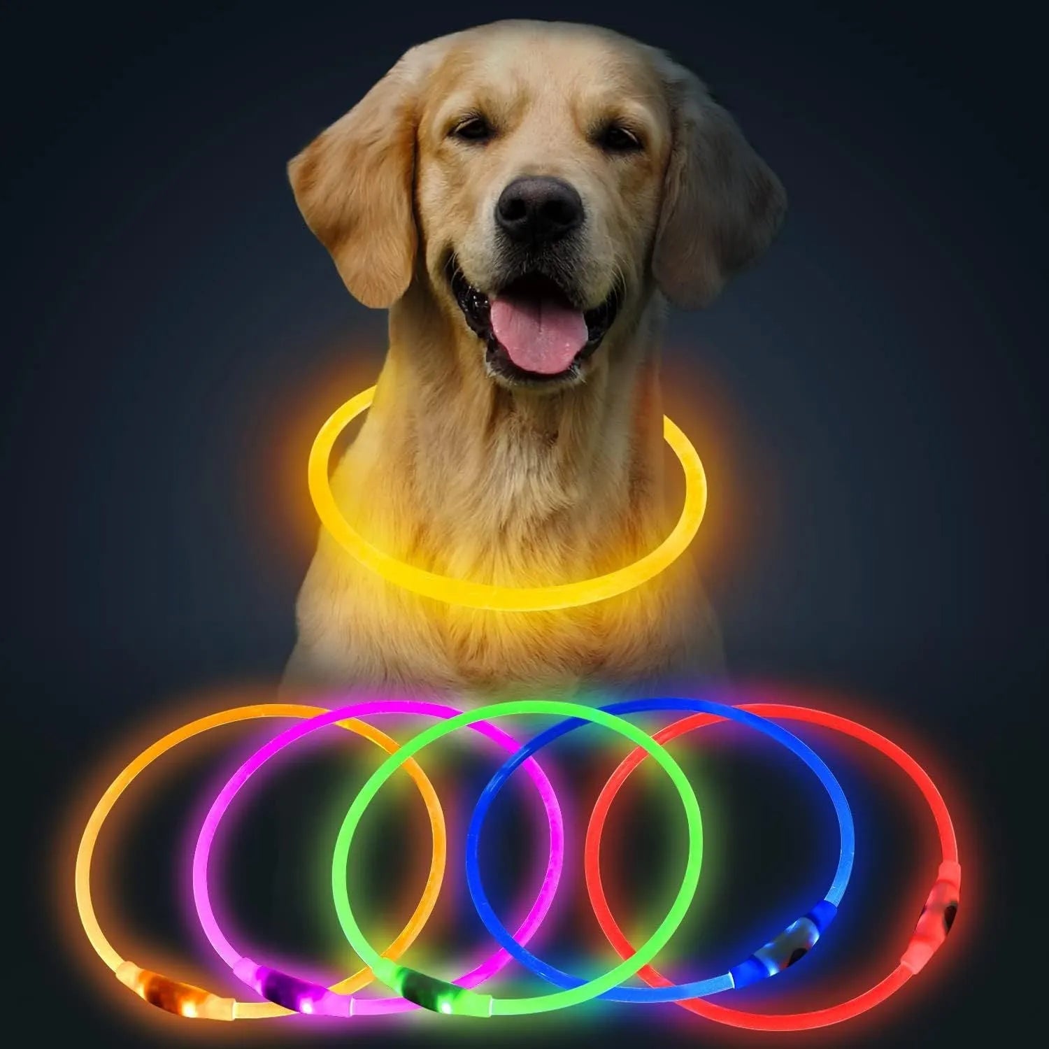 USB-rechargeable LED dog collar with blue glow, adjustable 70cm length, and three flash modes for pet safety.