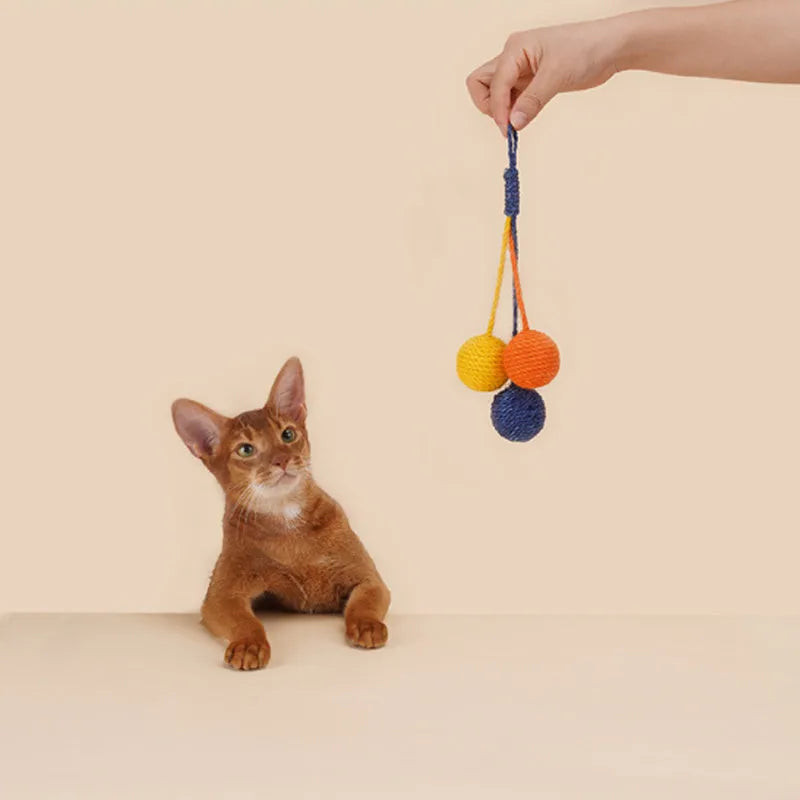 Cat toy set showing a colourful teaser stick and a bite-resistant catnip ball on a white background.