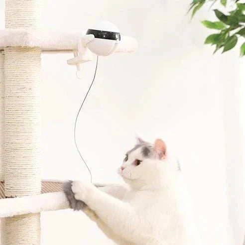Interactive electronic motion cat toy with real fur ball for engaging playtime