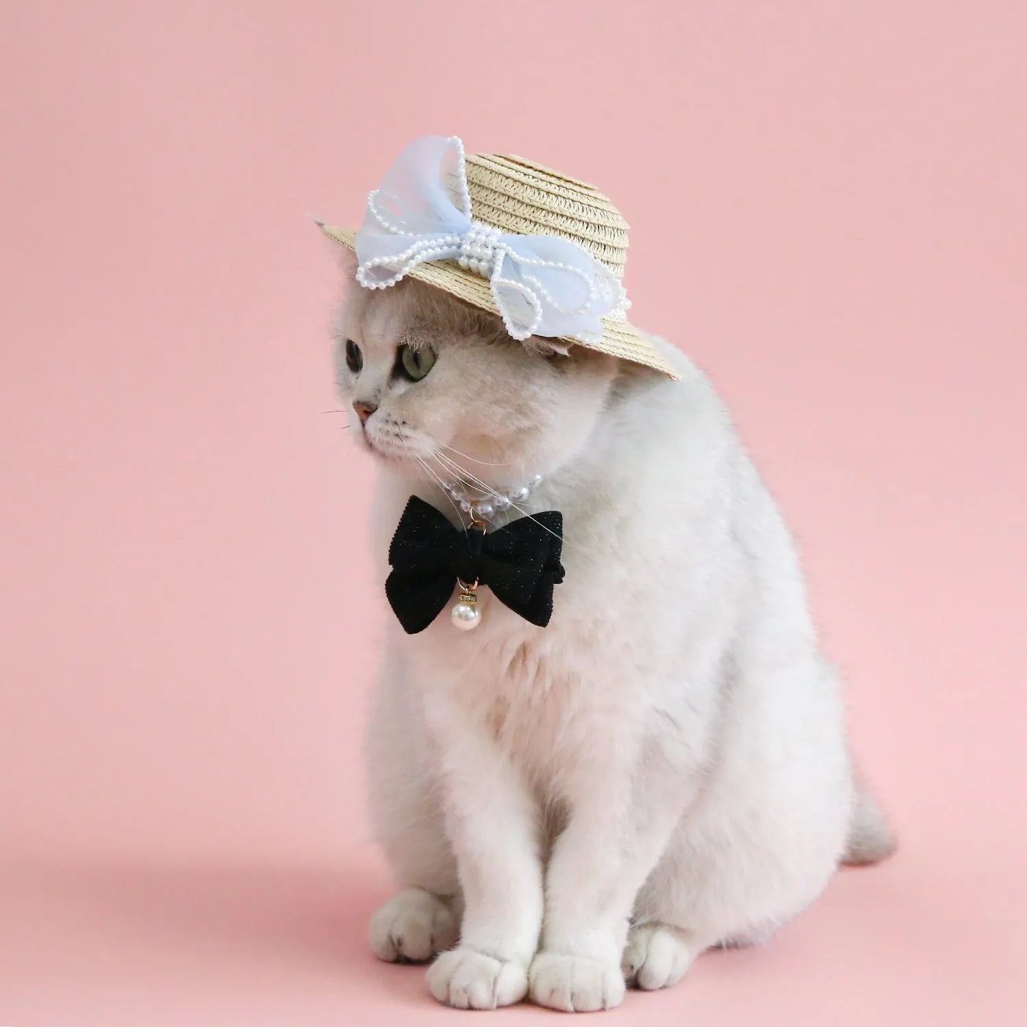 A woven Lafite leaf hat for cats with a pearl butterfly bow, shown in pink, purple, blue, and white colour options.