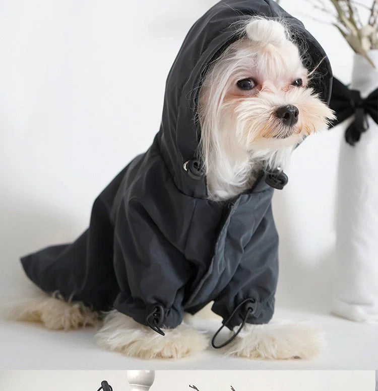 Black reflective dog hoodie with color-changing feature for nighttime visibility