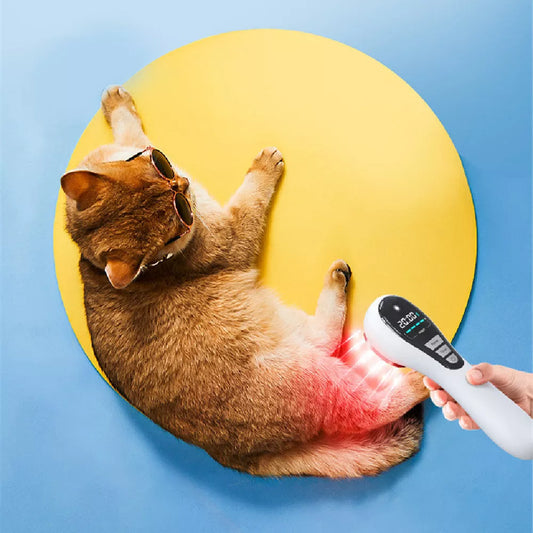 Semiconductor Laser Therapy Instrument with dual wavelengths for deep tissue therapy