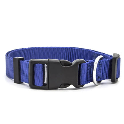 Adjustable nylon pet collar for cats and dogs with neoprene lining, available in multiple colors and sizes