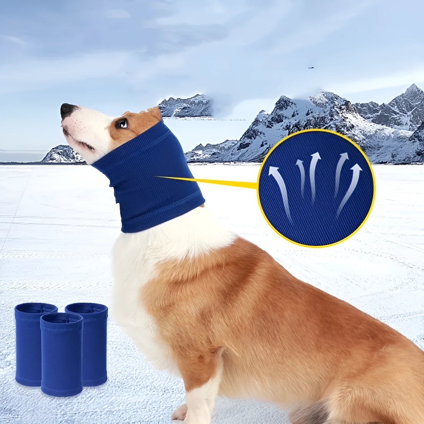 A blue polyester headband scarf for a dog, shown on a medium-sized breed.