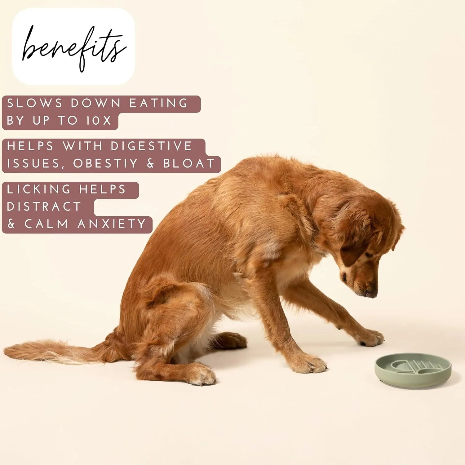 Silicone slow feeder bowl for dogs with ridges, measuring 19 cm, in beige, charcoal ash, grey blue, mango yellow, mustard green, or red.