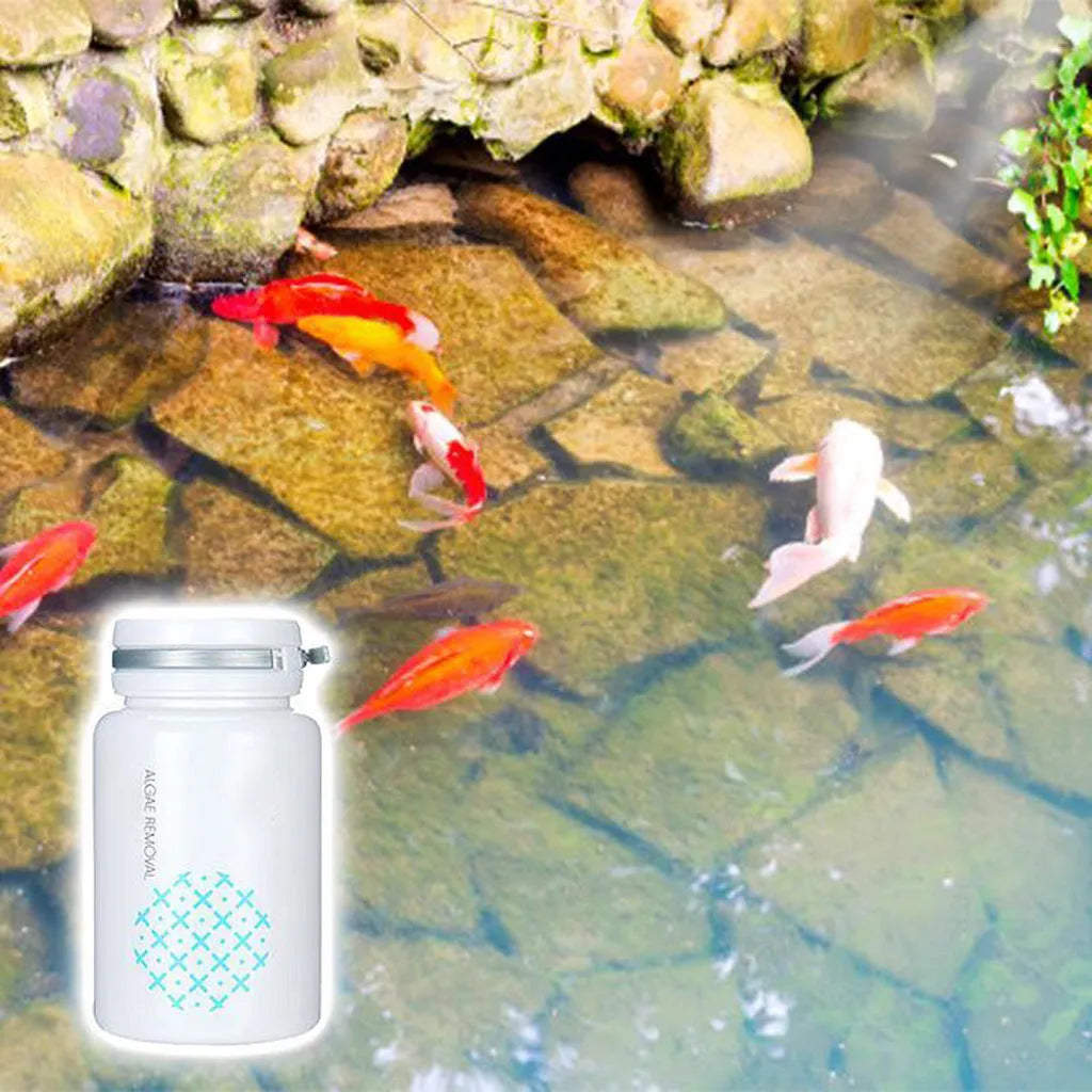 50g algaecide swimming pool treatment for algae and moss removal with dosage instructions