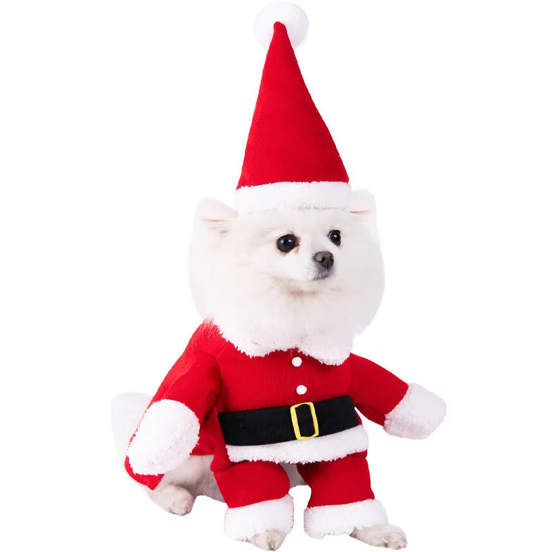 Halloween dog costume example in size M, showing the Bat Suit design made from polyester fabric.