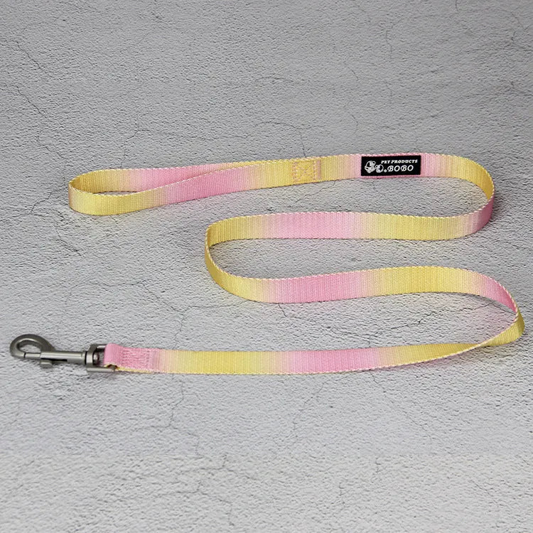 Gradient colour nylon dog leash showing pink-blue colour transition with metal attachment clip