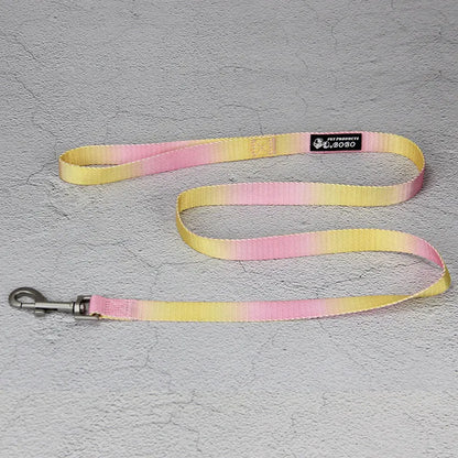 Gradient colour nylon dog leash showing pink-blue colour transition with metal attachment clip