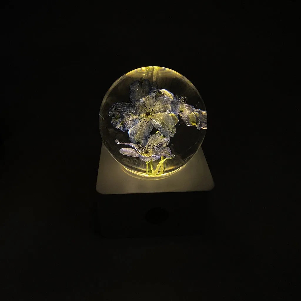 Small clear dome desktop night light with a preserved dandelion and sunflower inside, illuminated softly.