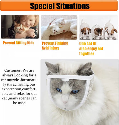 Clear transparent muzzle for cats on a grey background, showing breathing hole and soft lining.
